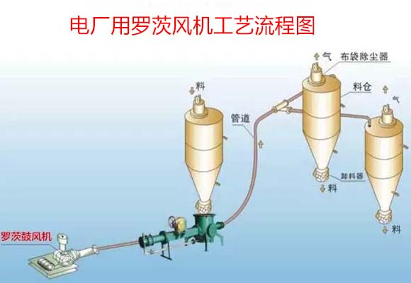 電廠用羅茨鼓草莓视频污视频案例