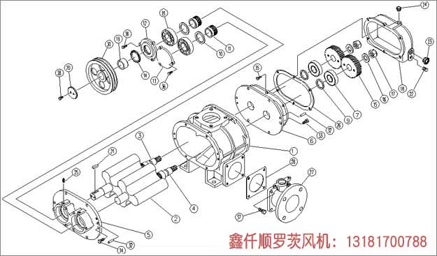 羅茨草莓视频污视频工作組成部件